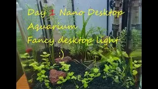 Fancy Desktop light Nano Aquarium Day1