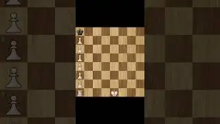 Лифт для ладьи😂 #шахматы #chess ТГ С ТУРНИРАМИ В ПРОФИЛЕ