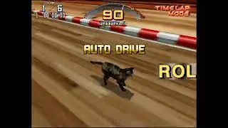 Cat driving & bowling simulator (Scud Race Plus)