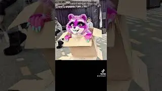 do they care if you break the magic? 