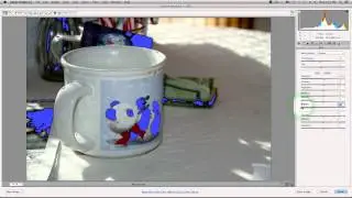 Using Adobe Camera Raw Plugin | Photoshop CC Tutorial How To For The Basic Tab