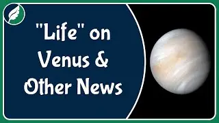 "Life" on Venus and other nature news from September 2020