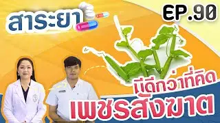 สาระยา | เพชรสังฆาต…มีดีกว่าที่คิด | EP.90