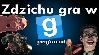 Zdzichu gra w 