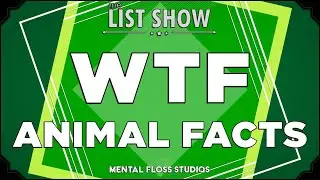 28 WTF Facts About Animals