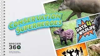 Tapir Conservation Data4Wildlife Hero - Patricia Medici