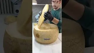 Grana Padano Cheese: The Hardest Delicacy and the Secret to Its Amazing Taste 🧀🍝