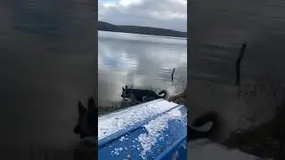 Дар с Утёсов Камы Верес