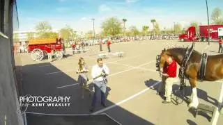 Budweiser Clydesdales Time Lapse