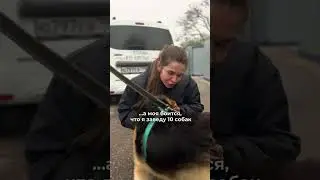 Ну а как удержаться, когда перед тобой такая булочка 🥺❤️