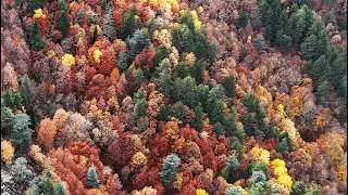 DÜLDÜL DAĞI KAHRAMANMARAŞ  4K