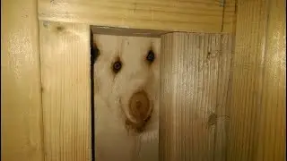 Очередной #insidetheBackrooms вялые питоны десантуры пробежали и не поняли