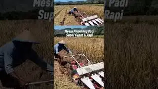 mesin pemotong padi