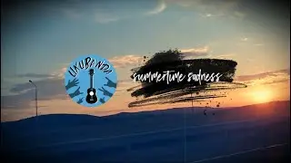 Summertime Sadness  cover на укулеле (песня Lana Del Rey)