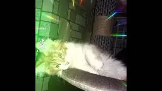 Мейкун-чик