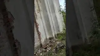 2 августа 2021 г.