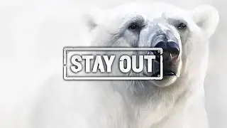 ⭐ Stalker Online | Stay Out ► Только для ваших глаз ► Новая Земля ► Охота на Мишку  #stalkeronline