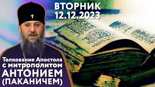Вторник, 12 декабря 2023 года. Толкование Апостола с митр. Антонием (Паканичем).