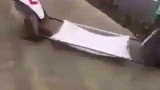 Meymunlar gulmeli video