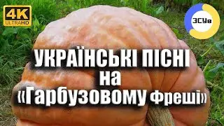 🎃КОНЦЕРТ🎃УКРАЇНСЬКІ ПІСНІ2️⃣6️⃣*🔟*2️⃣4️⃣ #зсув #українськамузика #українськіпісні #ukrainianmusic