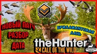 The Hunter Call of the Wild .📢НОВЫЙ ПАТЧ📕ОБЗОР👀 ДАТА📆ОБНОВЛЕНИЕ 🔫НОВОЕ ОРУЖИЕ🦆УТОК И ГУСЕЙ ПОЧИНИЛИ🔧