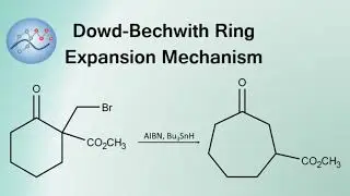 Dowd-Beckwith Ring Expansion Mechanism | Organic Chemistry