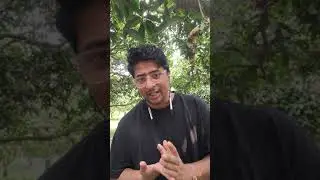 Ibps Rrb Po Mains 2024 Result नहीं आया तो Kiya हुआ...?? ||  Aapke पास Itna Bada Opportunity है ||
