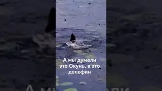 Это супер подсечка Линя, а мы думали Окунь.