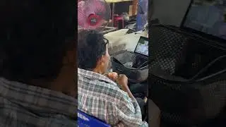 Полина Кокс & CandyFlip наблюдаем за жизнью тайца