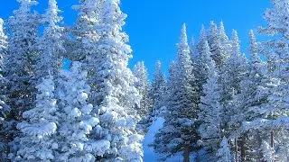 СБОРНИК КРАСИВЫЫХ МЕЛОДИЙ  ДЛЯ ДУШИ! Музыка для Вас и Вашей семьи!  