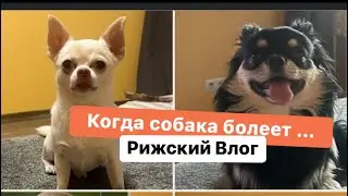 И все таки он его любит! Теодор раскололся