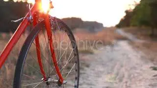 Girl on Bicycle at Sunset | Stock Footage - Envato elements