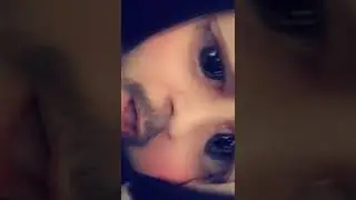 🤧