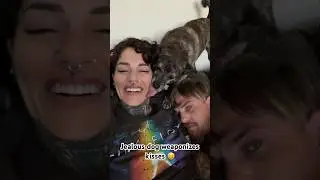 Weaponized Dog Kisses 👅 