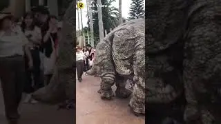 Tik tok video dinosaur in real video special video watch