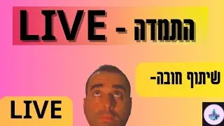 לייב התמדה כשהכל נראה לא אפשרי.