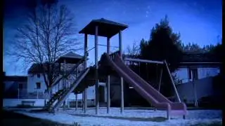 Насекомые Улитки  Непоседы