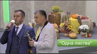 Илья Курелов и Владимир Шевцов 