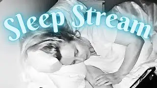 Sleep/Snore Stream with Puppies