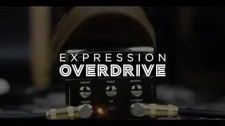 Ernie Ball Expression Series Overdrive demo by Lance Seymour - Gear Talk