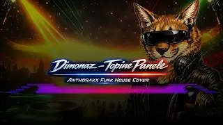 Dimonaz - Topine Panele | Anthorakx Funk House Cover