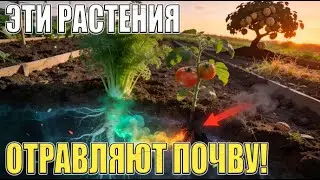 DON'T PLANT THIS NEARBY! Killer Plants Will Destroy Your Garden | Allelopathy and Protectors