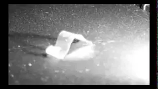 Making waves in a photoactive polymer film