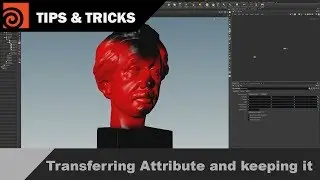 Houdini - Transferring Attribute and keeping it