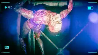 Meat Mannequins Menace Me  | The Cursed Tape