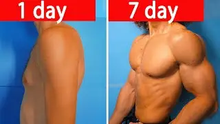 How to Pump up Your ARMS in 14 days | Home Body Workout