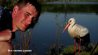Дикий аист ест с рук! Выпрашивает рыбку у рыбаков!