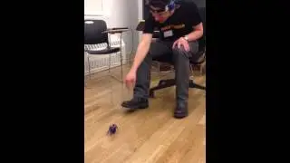 Brain controlled spider