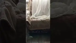 Помощнички