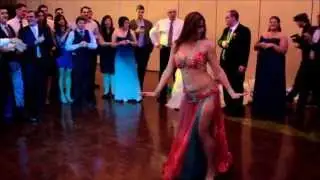 Belly Dance Show at a Wedding - Drum Solo Performance by Cassandra Fox